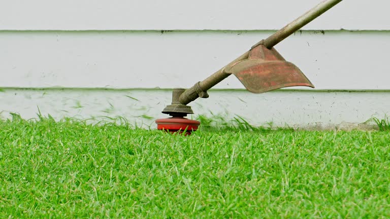 Best Arborist Consultation Services  in Pleak, TX